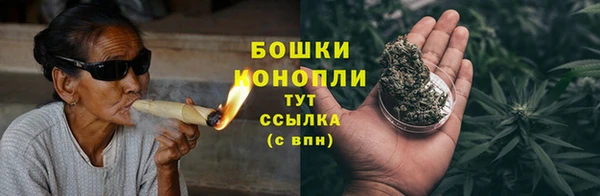 тгк Богородицк