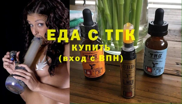 тгк Богородицк