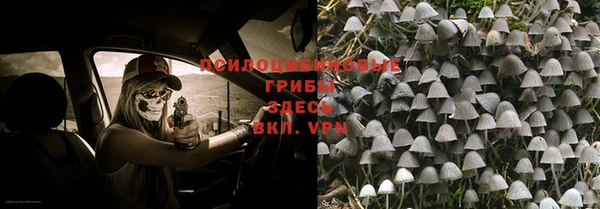 марки lsd Богданович