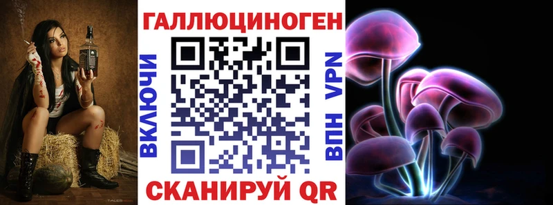 Купить где  Коммунар  Псилоцибиновые грибы Psilocybe 